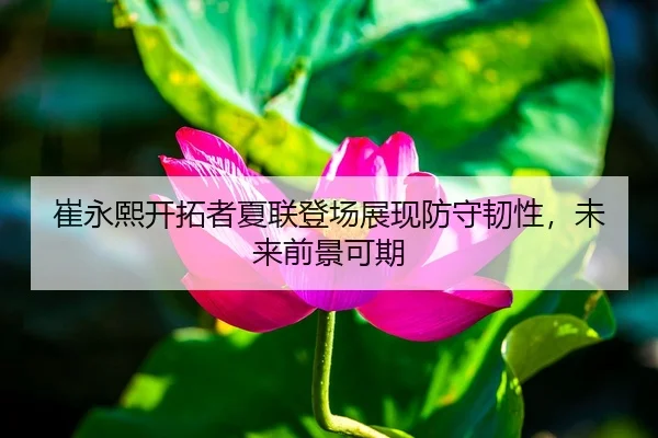 崔永熙开拓者夏联登场展现防守韧性，未来前景可期