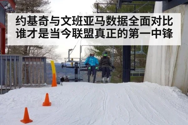 约基奇与文班亚马数据全面对比谁才是当今联盟真正的第一中锋